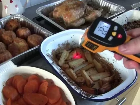 Best Infrared Thermometer For Cooking