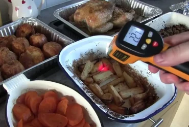 Best Infrared Thermometer For Cooking