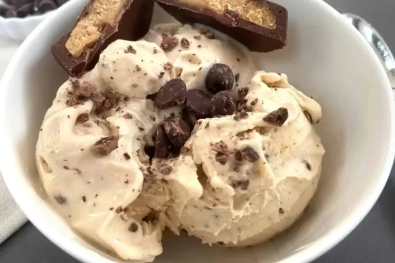Ninja Creami Ice Cream Recipes