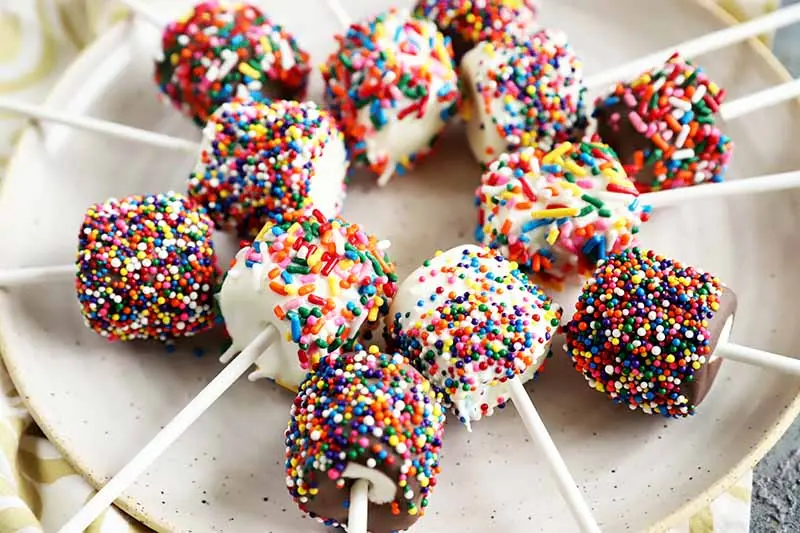 Chocolate-Covered Marshmallow Pops
